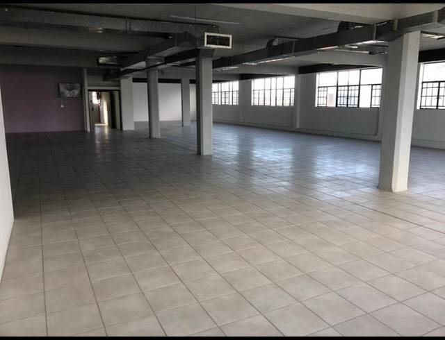 BUSINESS FOR SALE IN MAITLAND